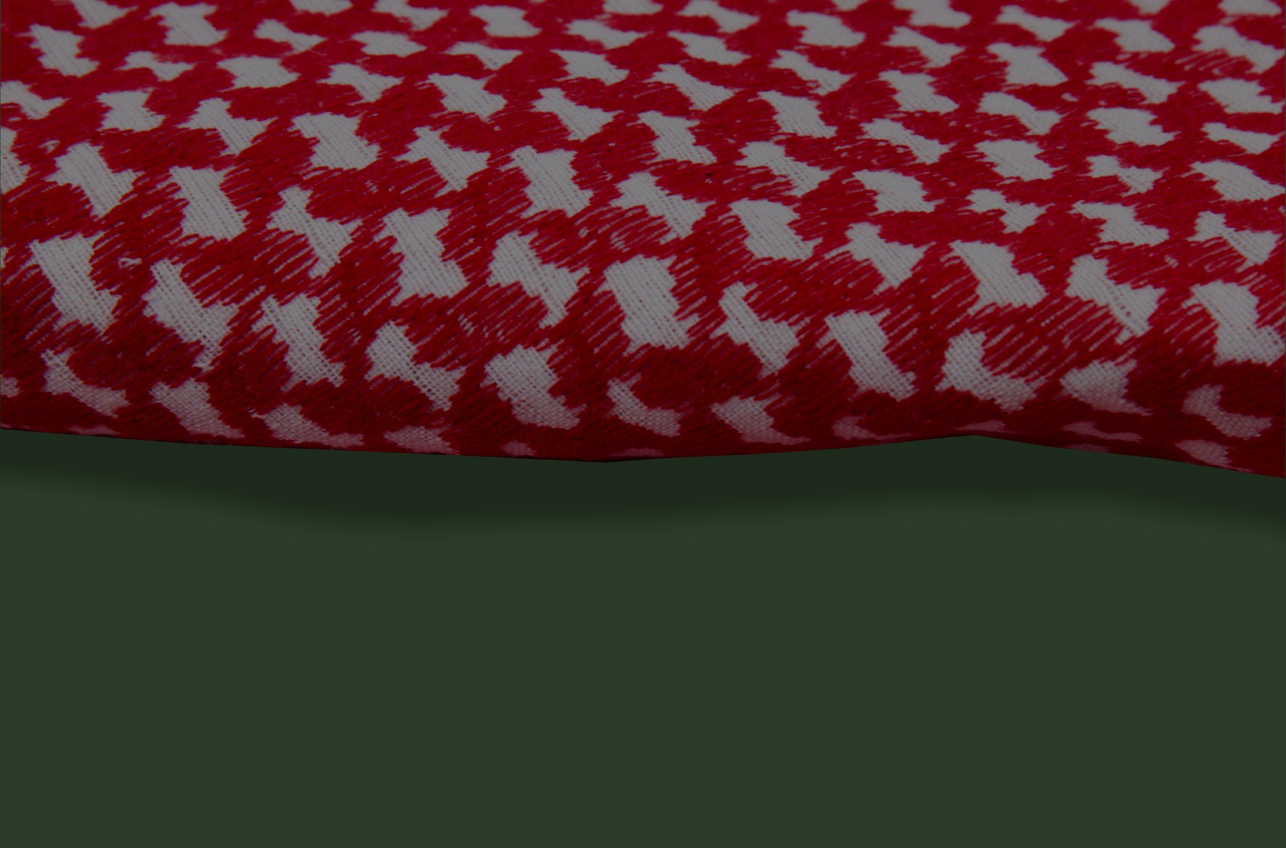 15 mitos comunes sobre Hamás, ¡y por qué tenemos que luchar contra su prohibición!