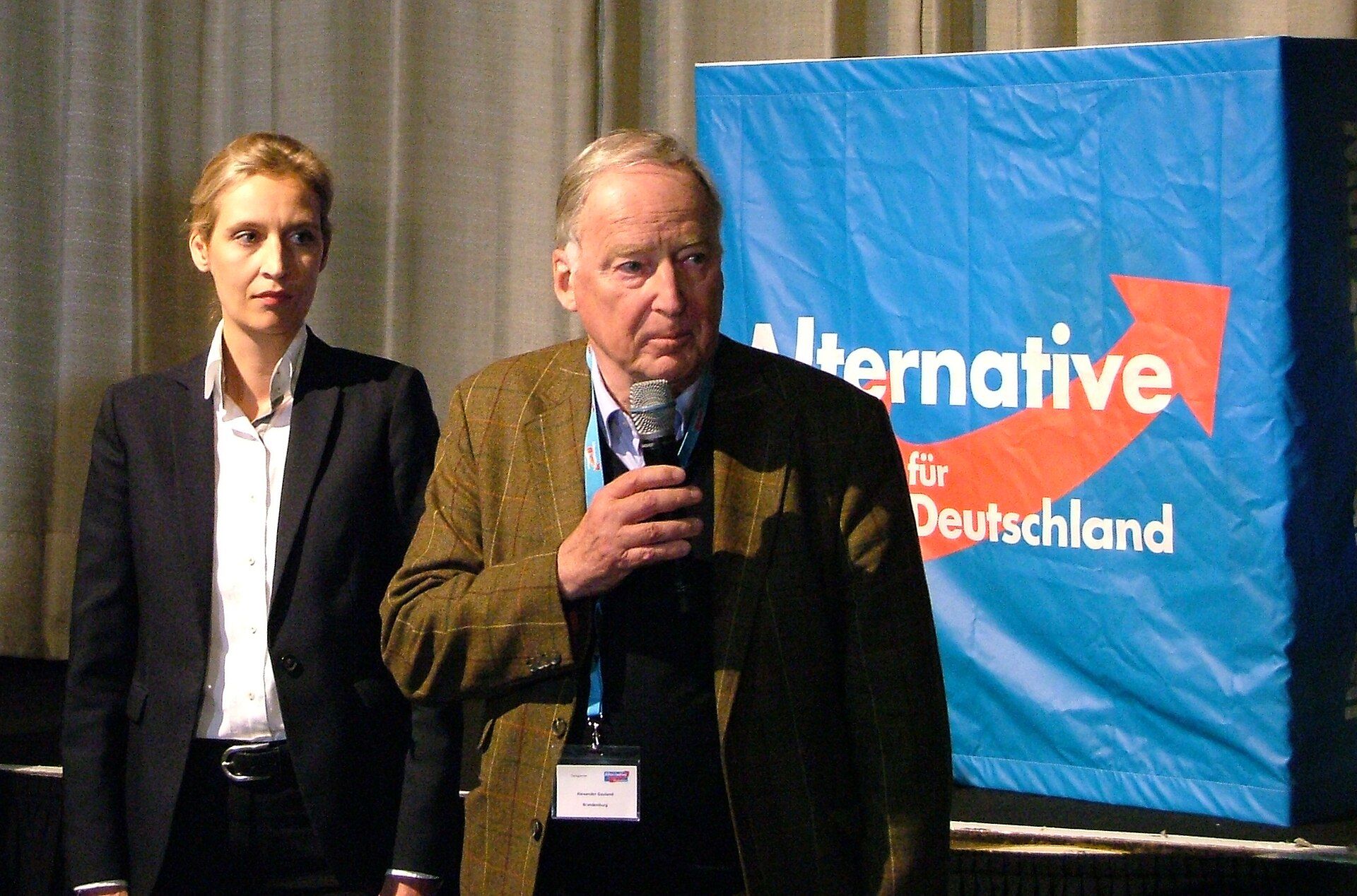 AfD – Wer kontrolliert die Partei?